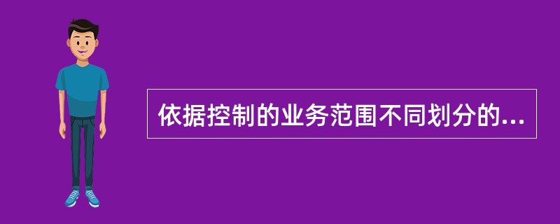 依据控制的业务范围不同划分的控制类型是