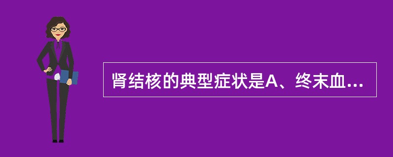 肾结核的典型症状是A、终末血尿B、膀胱刺激征C、脓尿D、肾区疼痛和肿块E、全身中