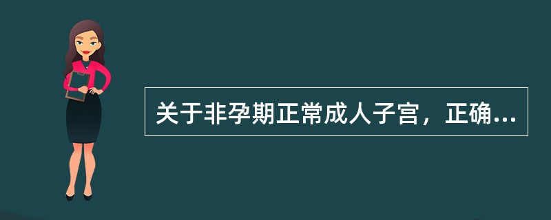 关于非孕期正常成人子宫，正确的解剖描述是A、子宫长7～8cmB、子宫位于骨盆腔中