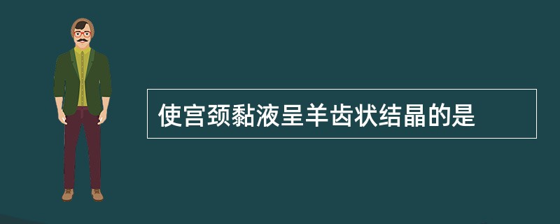 使宫颈黏液呈羊齿状结晶的是