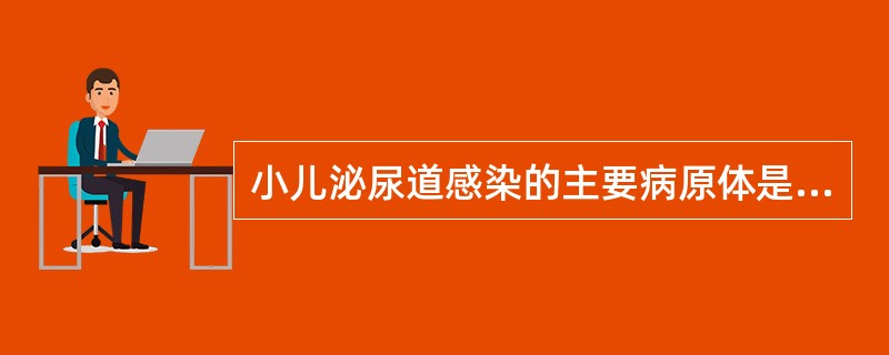 小儿泌尿道感染的主要病原体是A、细菌B、真菌C、支原体D、病毒E、衣原体