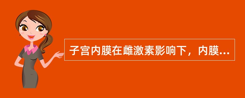 子宫内膜在雌激素影响下，内膜修复增厚，细胞增生。子宫内膜出现间质水肿疏松，腺体增