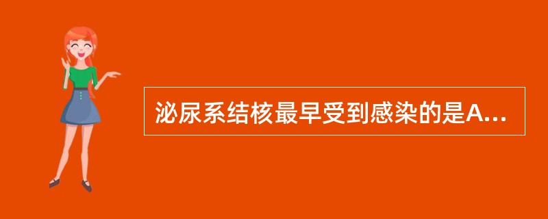 泌尿系结核最早受到感染的是A、单侧肾脏B、双侧肾脏C、输尿管D、膀胱E、尿道 -