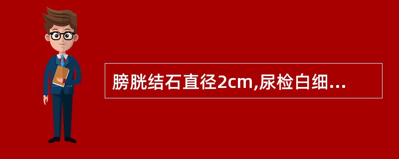 膀胱结石直径2cm,尿检白细胞1~3£¯HP,最佳治疗方法( )