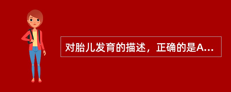 对胎儿发育的描述，正确的是A、8周末从外观可分辨男女B、12周末B超可见胎心搏动