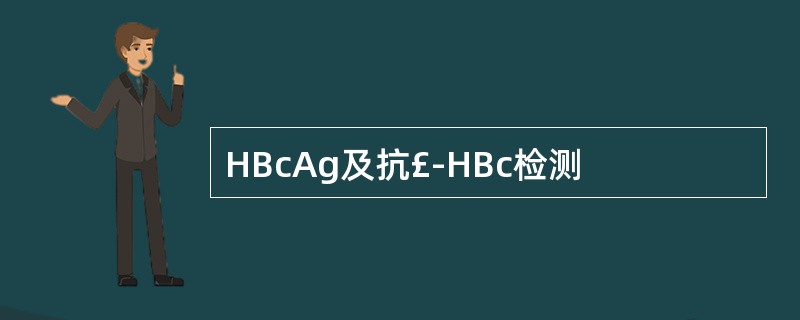 HBcAg及抗£­HBc检测