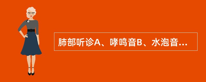 肺部听诊A、哮鸣音B、水泡音C、胸膜摩擦音D、干啰音