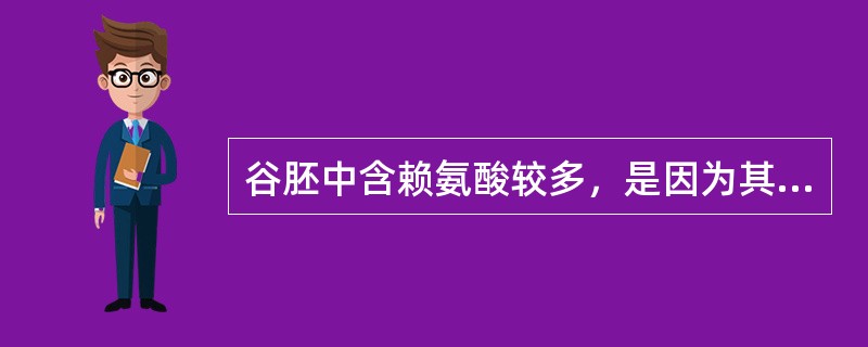 谷胚中含赖氨酸较多，是因为其蛋白质主要为A、清蛋白B、球蛋白C、醇溶蛋白D、谷蛋