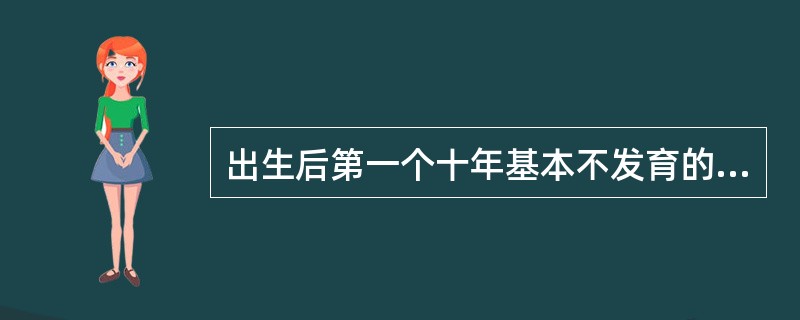 出生后第一个十年基本不发育的系统是A、淋巴系统B、神经系统C、生殖系统D、内分泌