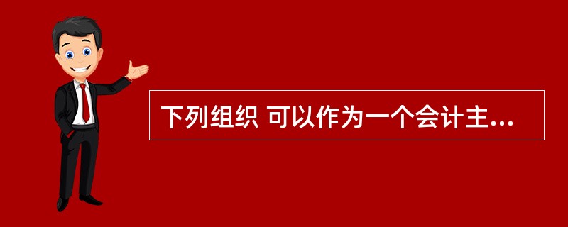 下列组织 可以作为一个会计主体进行会计核算的有( )