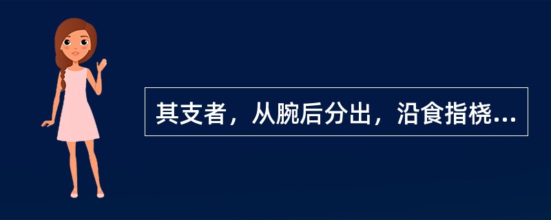 其支者，从腕后分出，沿食指桡侧出其端的经脉是A、手阳明大肠经B、手太阴肺经C、手