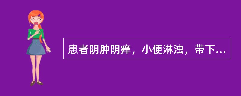 患者阴肿阴痒，小便淋浊，带下黄臭者，治疗应选用