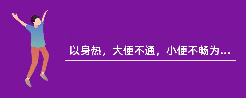 以身热，大便不通，小便不畅为辨证要点的属于( )A、邪热壅肺证B、热扰胸膈证C、