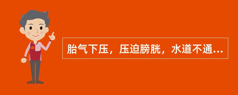 胎气下压，压迫膀胱，水道不通，可导致的病证是