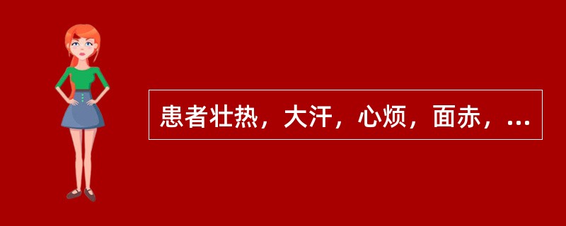 患者壮热，大汗，心烦，面赤，口渴引饮，小便黄，大便干燥，舌红苔黄燥，脉洪大而数，