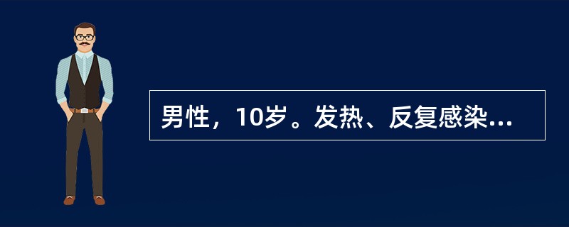 男性，10岁。发热、反复感染、周身乏力、头痛、恶心呕吐、视力模糊1个月，拟诊为急