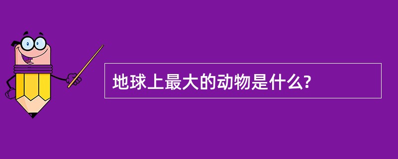 地球上最大的动物是什么?