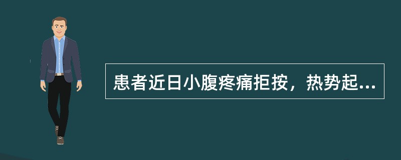 患者近日小腹疼痛拒按，热势起伏，寒热往来，带下量多，色黄、质稠，味臭秽，小便短赤