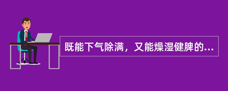 既能下气除满，又能燥湿健脾的药物是A、紫苏B、厚朴C、砂仁D、豆蔻E、香附 -