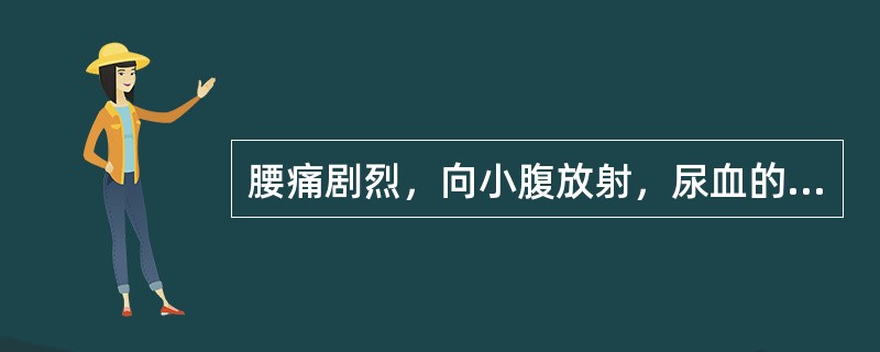 腰痛剧烈，向小腹放射，尿血的临床意义是( )A、寒湿B、肾虚C、带脉损伤D、瘀血