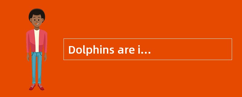 Dolphins are interesting because they___