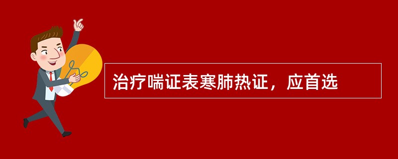 治疗喘证表寒肺热证，应首选