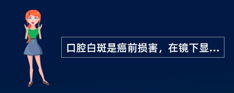 口腔白斑是癌前损害，在镜下显示典型的A、角化过度与不全角化B、颗粒层肥厚C、棘层