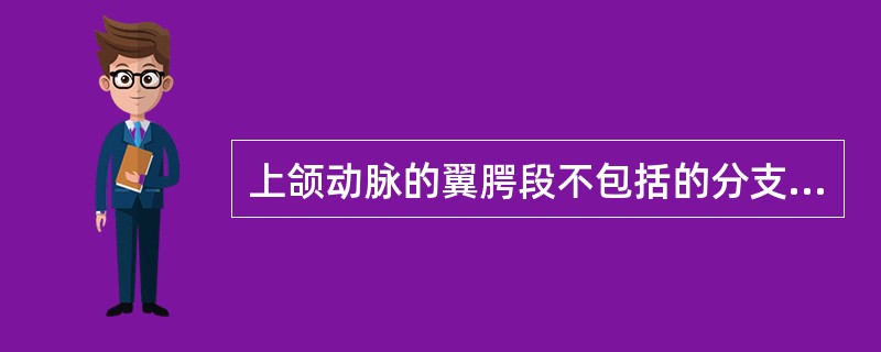 上颌动脉的翼腭段不包括的分支有A、下牙槽动脉B、上牙槽后动脉C、眶下动脉D、腭降