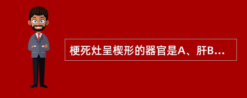 梗死灶呈楔形的器官是A、肝B、肾C、心D、脑E、肠