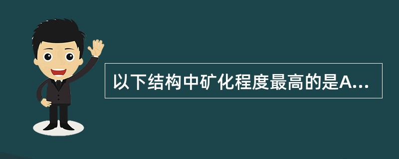 以下结构中矿化程度最高的是A、管周牙本质B、管间牙本质C、球间牙本质D、前期牙本