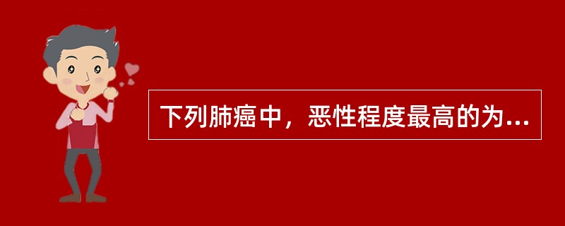 下列肺癌中，恶性程度最高的为A、鳞癌B、腺癌C、细支气管肺泡细胞癌D、小细胞癌E