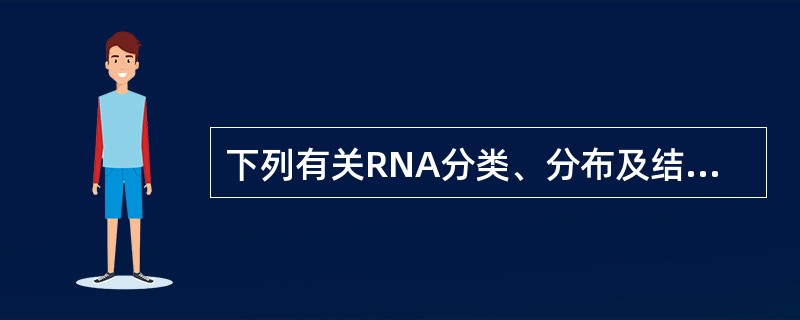 下列有关RNA分类、分布及结构的叙述错误的是A、主要有mRNA、tRNA和rRN