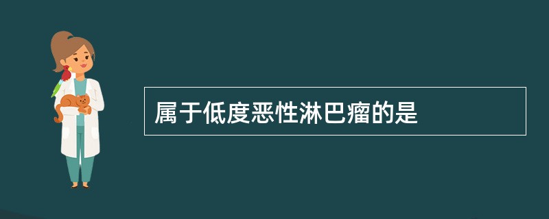 属于低度恶性淋巴瘤的是