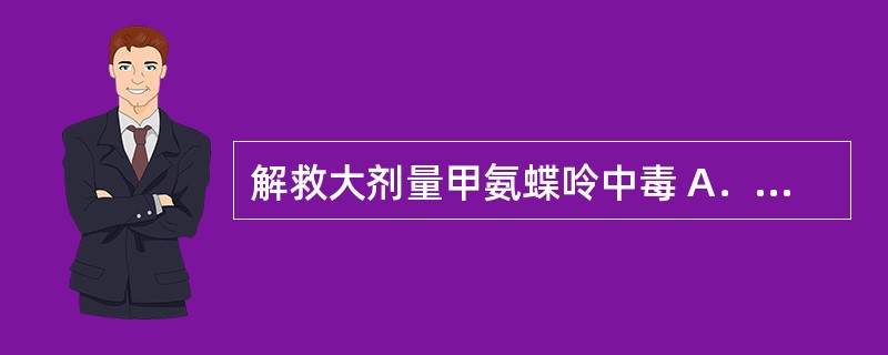 解救大剂量甲氨蝶呤中毒 A．亚叶酸钙 B．地塞米松 C．昂丹司琼 D．氟他胺 E