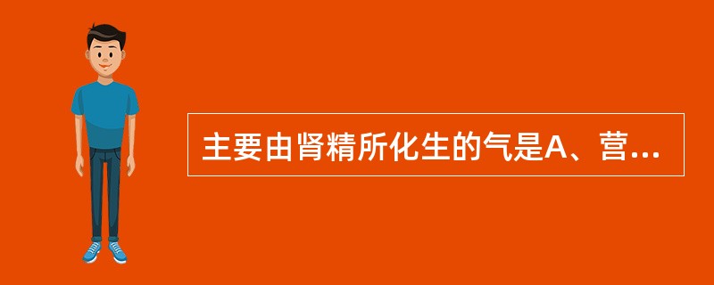 主要由肾精所化生的气是A、营气B、卫气C、元气D、宗气E、后天精气