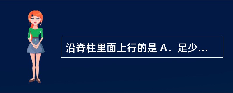 沿脊柱里面上行的是 A．足少阴肾经 B．足太阳膀胱经 C．任脉 D．督脉 E．冲