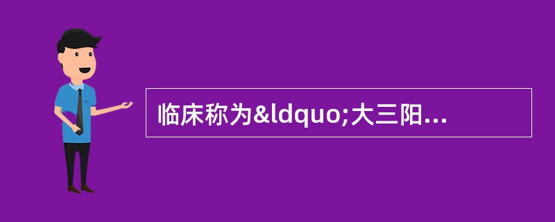 临床称为“大三阳”的乙型肝炎者，血清学检查呈阳性的标志物