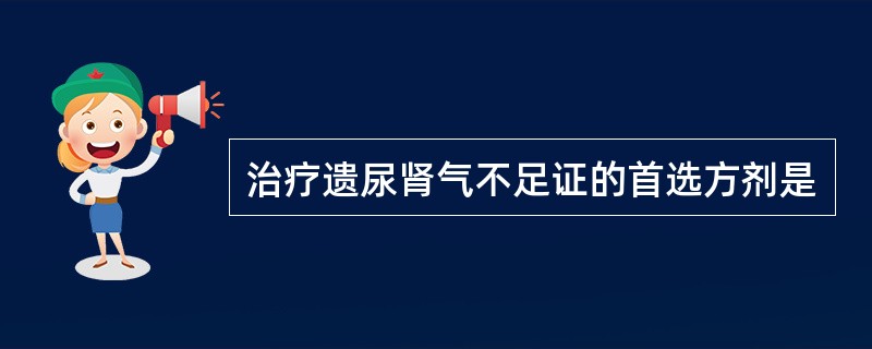 治疗遗尿肾气不足证的首选方剂是