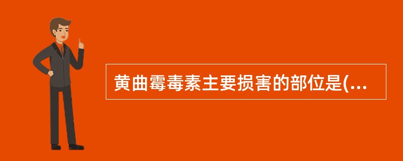 黄曲霉毒素主要损害的部位是( )A、神经B、肝脏C、肾脏D、膀胱E、肺