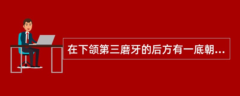 在下颌第三磨牙的后方有一底朝前的三角，它是A、磨牙后区B、磨牙后三角C、磨牙后垫