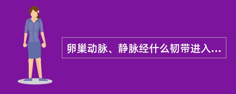 卵巢动脉、静脉经什么韧带进入卵巢门？A、圆韧带B、骨盆漏斗韧带C、主韧带D、子宫