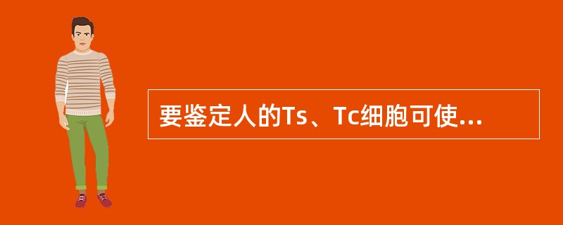 要鉴定人的Ts、Tc细胞可使用针对哪一种抗原的单克隆抗体( )A、CD8B、TC