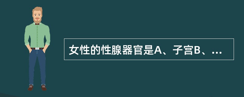 女性的性腺器官是A、子宫B、输卵管C、卵巢D、阴道E、外阴