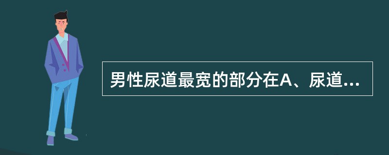 男性尿道最宽的部分在A、尿道前列腺部B、后尿道C、尿道膜部D、前尿道E、尿道舟状