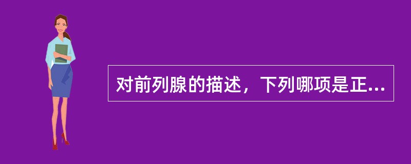 对前列腺的描述，下列哪项是正确的A、前列腺是囊状器官B、有尿道和精囊排泄管穿入C