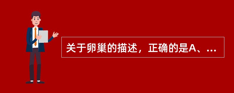 关于卵巢的描述，正确的是A、位于子宫颈两侧B、后缘有血管、神经出入C、由髂外动脉