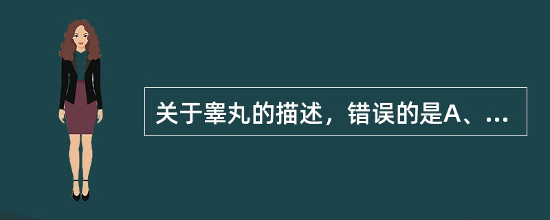 关于睾丸的描述，错误的是A、位于阴囊内，属内生殖器B、其后缘有睾丸血管、神经出入