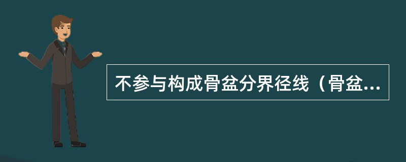 不参与构成骨盆分界径线（骨盆入口）的结构是A、弓状线B、耻骨梳C、骶岬D、耻骨结