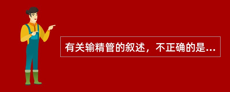 有关输精管的叙述，不正确的是( )。A、凡睾丸体积正常，精液量少，pH酸性的无精