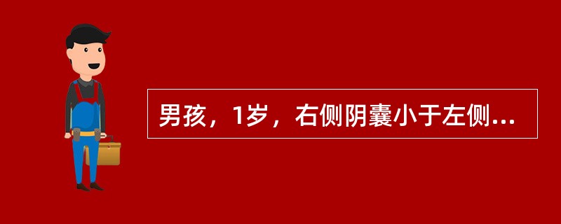 男孩，1岁，右侧阴囊小于左侧，触诊其内无睾丸，在右腹股沟区内可触及一活动的包块，